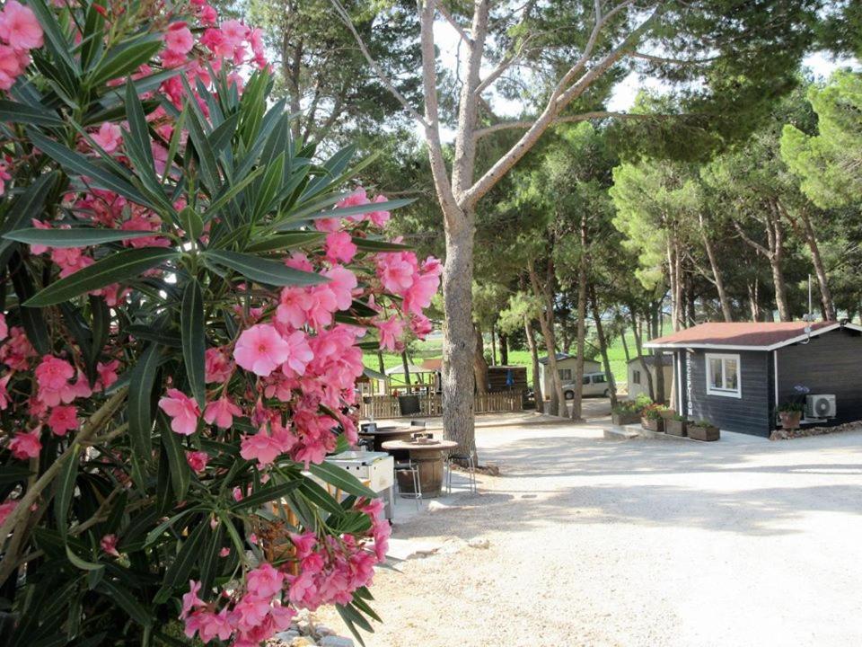 Camping Le Bois De Pins Salses-le-Chateau Εξωτερικό φωτογραφία