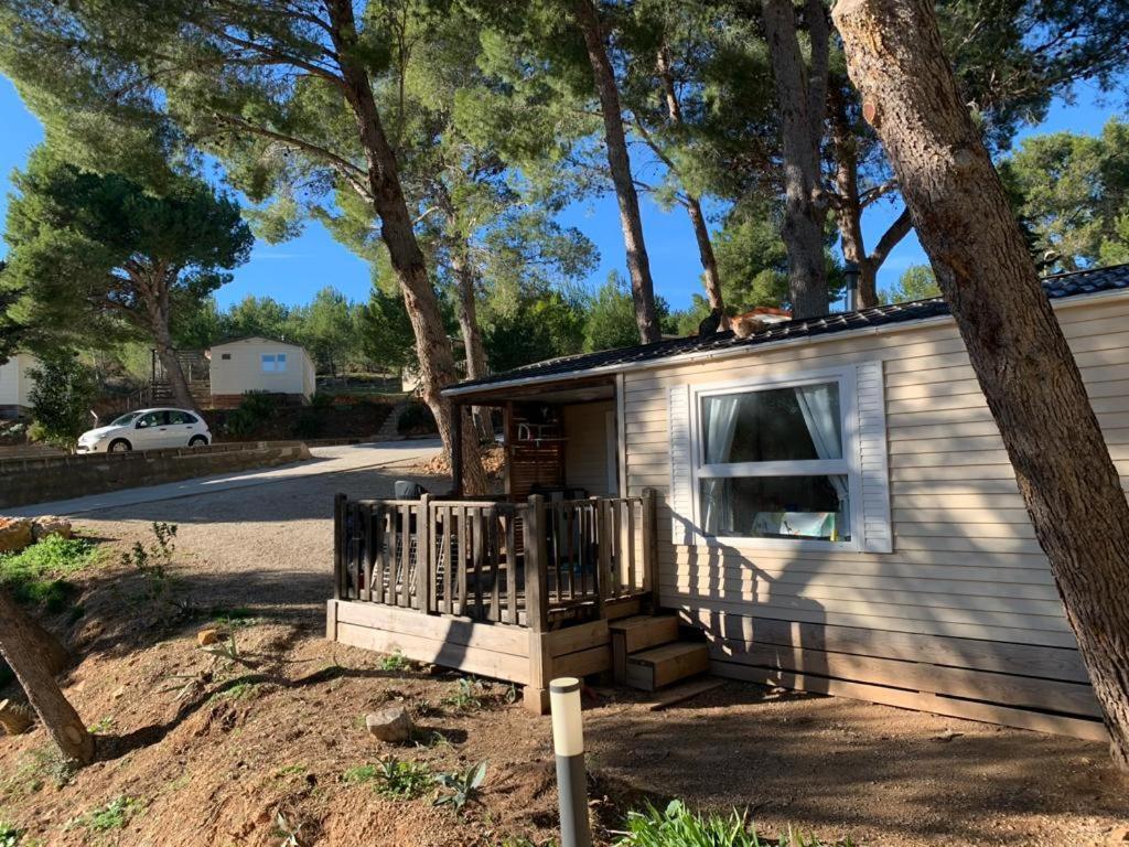 Camping Le Bois De Pins Salses-le-Chateau Εξωτερικό φωτογραφία