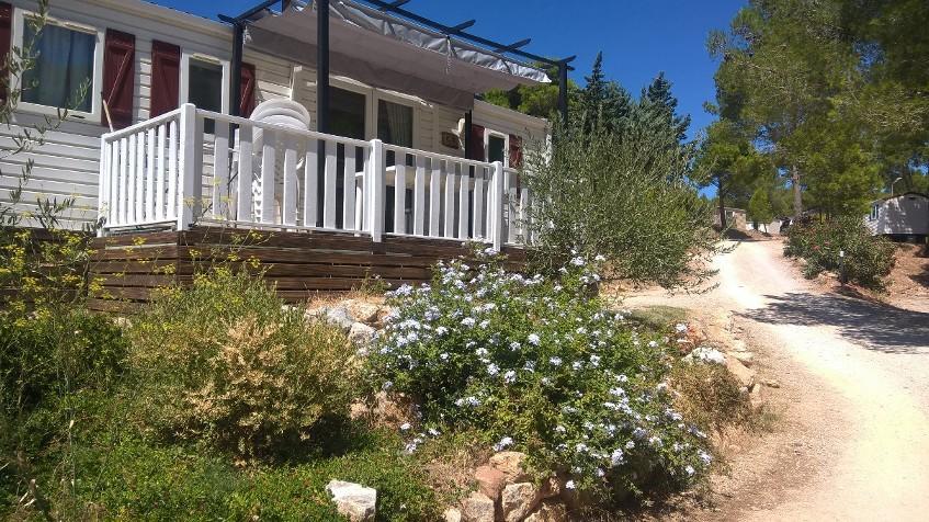 Camping Le Bois De Pins Salses-le-Chateau Εξωτερικό φωτογραφία