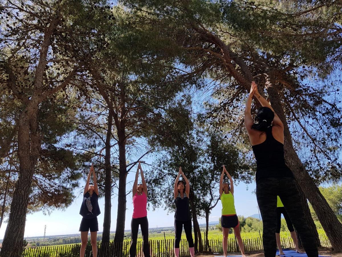 Camping Le Bois De Pins Salses-le-Chateau Εξωτερικό φωτογραφία